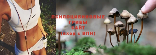 прущая мука Пролетарск